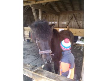 KG Kleinarl: Ausflug zum Reitstall Ployer-Islandpferde